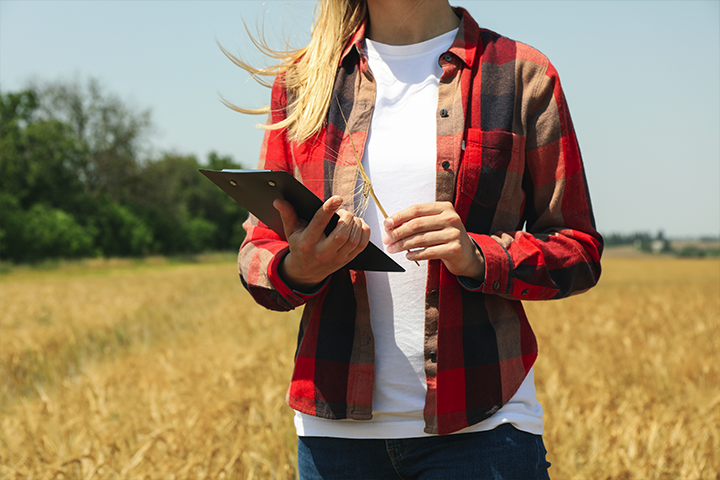 O que são commodities? : mulher loira vestindo camisa xadrez vermelha, blusa branca e calça jeans segurando prancheta num campo de trigo.