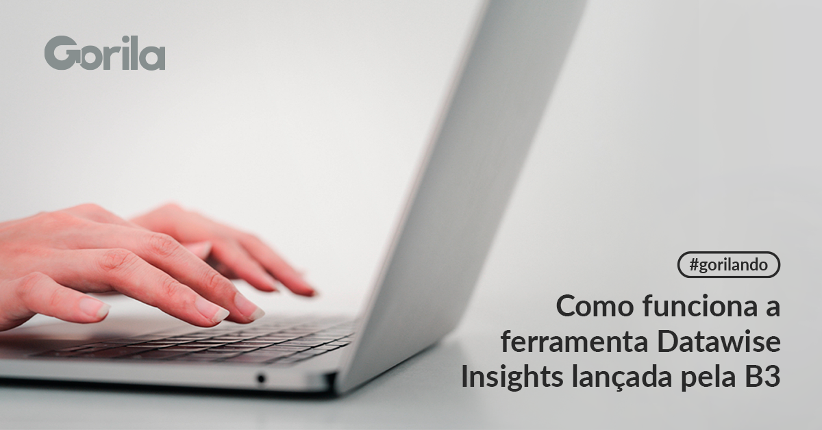 Como funciona a ferramenta Datawise Insights lançada pela B3 - Gorila