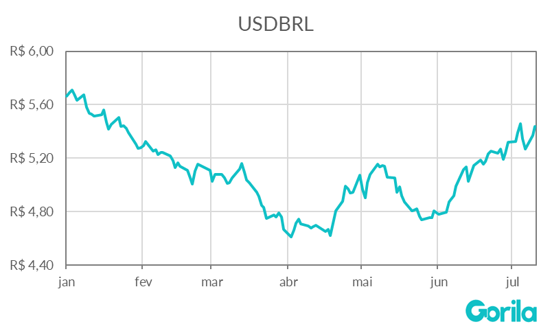 Dólar x euro: gráfico apresenta valores do dólar no Brasil